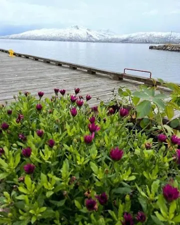 1. Etg I Dampskipsbrygga, Lodingen Havn Buitenkant foto
