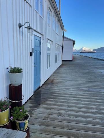 1. Etg I Dampskipsbrygga, Havn Apartment *
